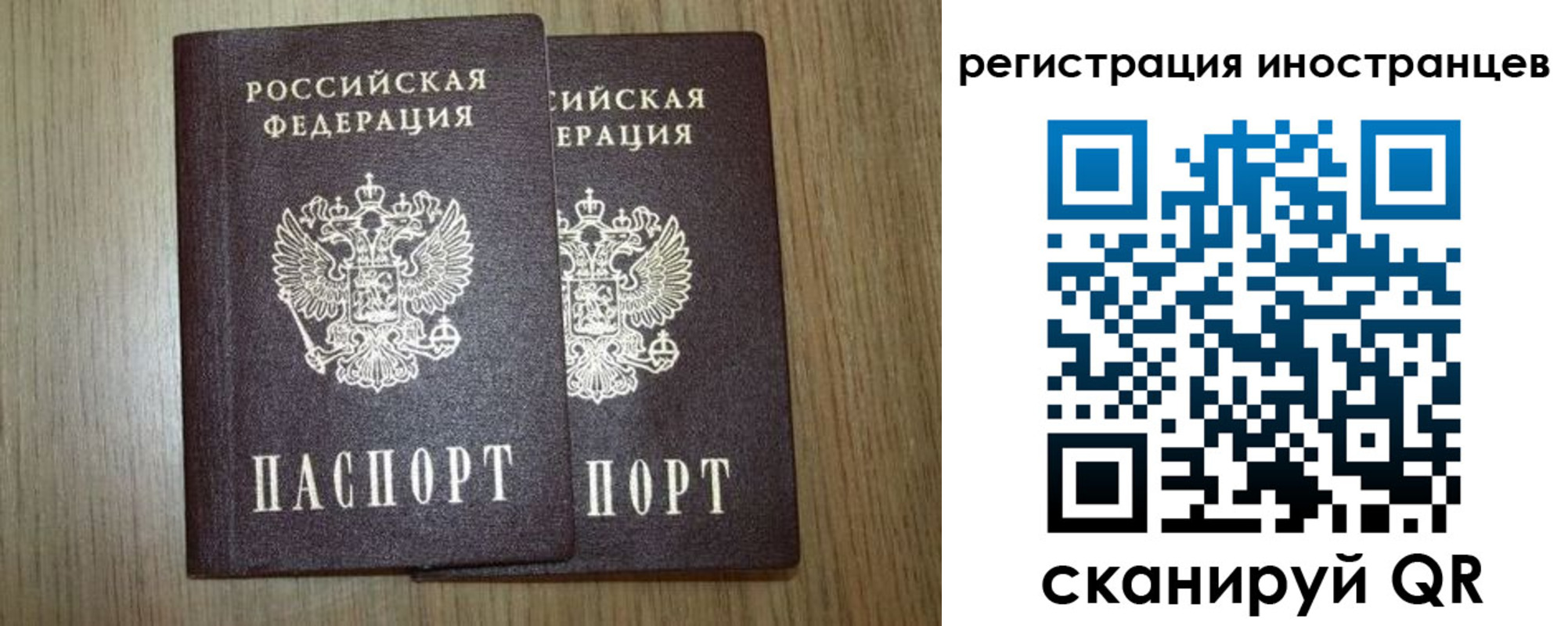 прописка для школы в Сасово